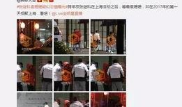 袁姗姗爆料被骂视频,揭开网络暴力残酷真相
