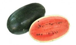 黑瓜吃料官网免费,解锁美食新体验，免费享受美味盛宴