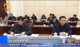 刘振最新爆料新闻报道,揭秘事件背后惊人内幕