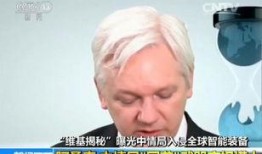 阿桑奇视频爆料,揭秘全球政治黑幕与权力斗争