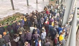 缅甸木姐回国爆料视频,亲身经历的真实爆料